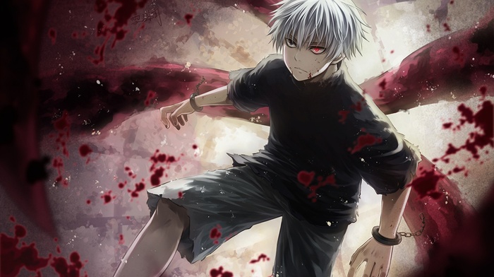 Kaneki Ken, Tokyo Ghoul