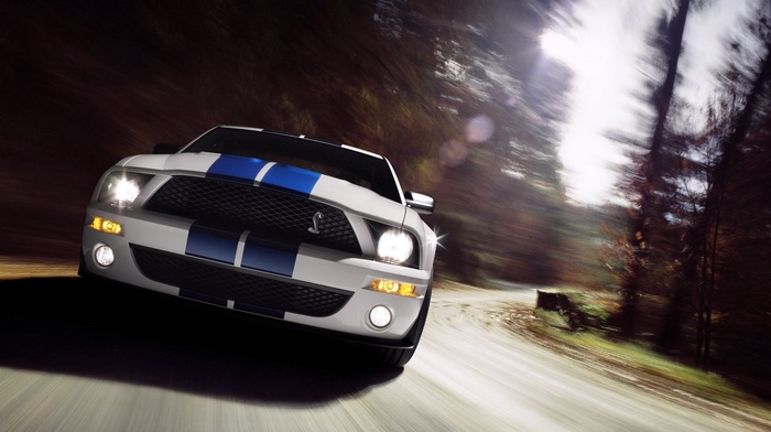 shelby, Ford Mustang, muscle cars