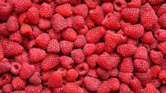 food, delicious, berries