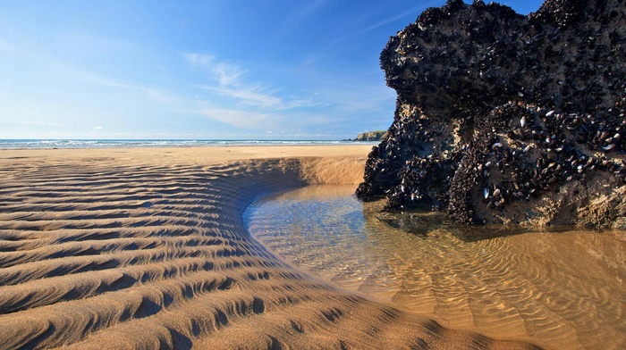 water, sand, nature