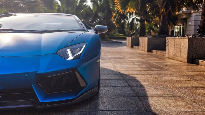 Lamborghini Aventador, blue, car, Lamborghini