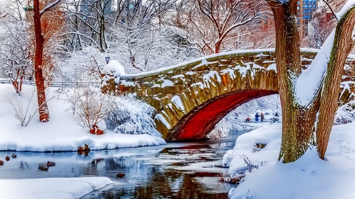 snow, trees, river, winter