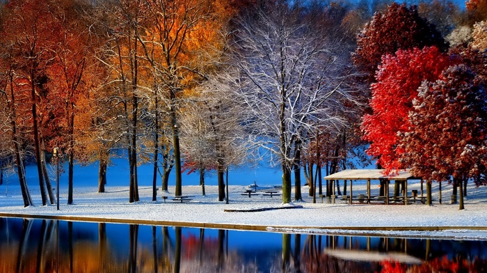 pond, winter, reflection, trees, snow, park