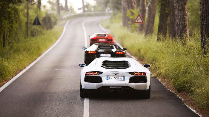 Lamborghini Aventador, cars