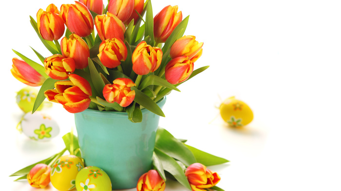 bouquet, tulips, flowers