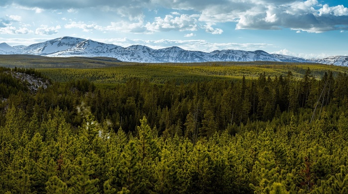 mountain, trees, nature, forest, landscape, sky, Canada