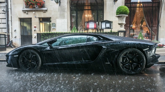 Lamborghini, car