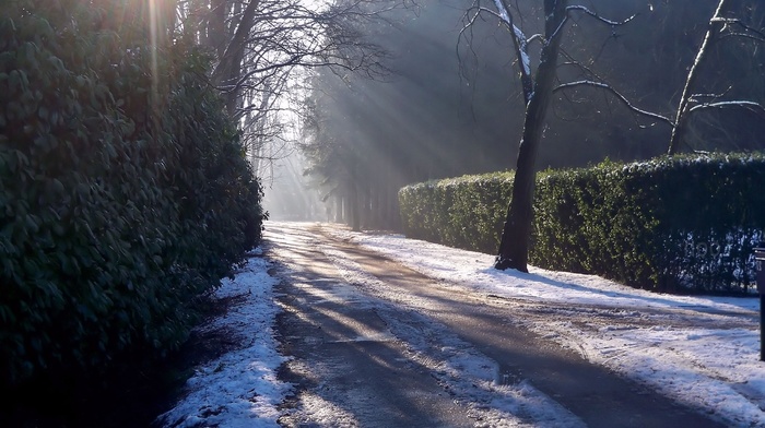 light, ice, road, winter, snow