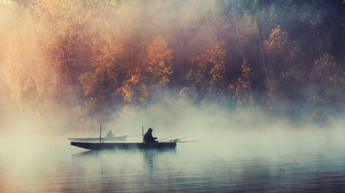 forest, boat, mist