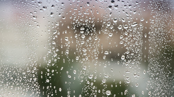 water, macro, drops