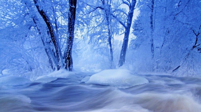 winter, snow, trees