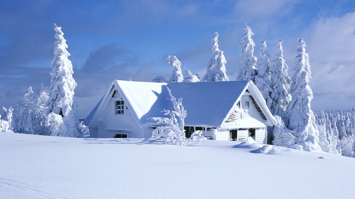 trees, snow, landscape, nature, clouds, house, sky, winter