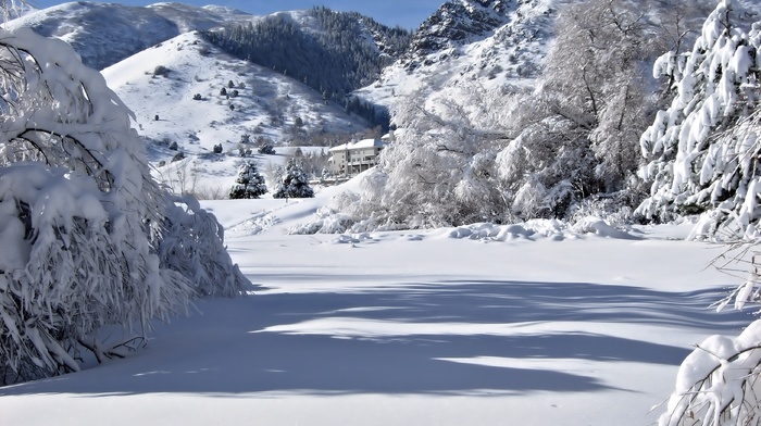 snow, winter, mountain, trees