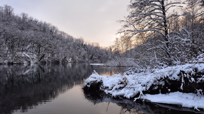 snow, winter, trees, water, forest