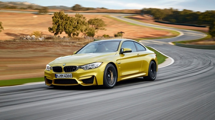 bmw, cars