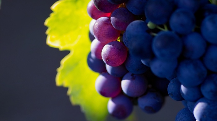 grapes, depth of field