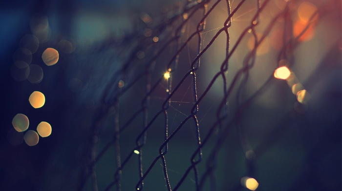 depth of field, fence