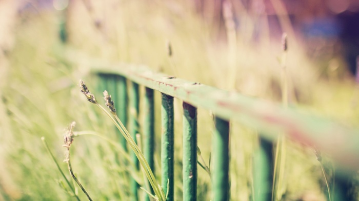 depth of field, fence