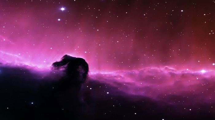 Horsehead Nebula, space
