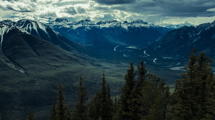 Banff, mountain, forest, landscape