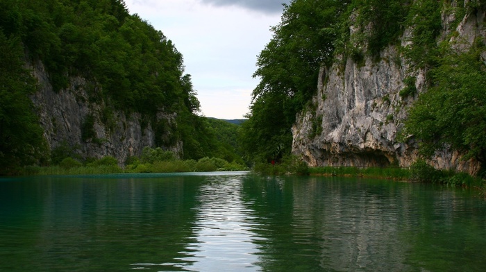 nature