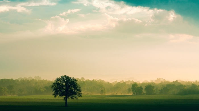 nature, landscape