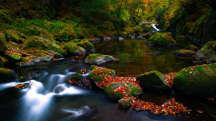 stones, forest, autumn, foliage, river, nature