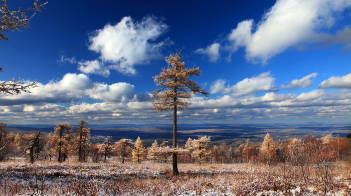 clouds, landscape, nature, trees