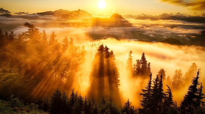 mountain, clouds, sun rays, landscape, forest