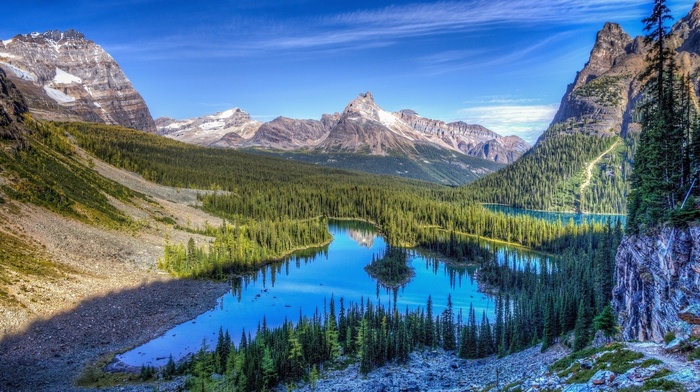 landscape, trees, Rocky Mountain National Park, lake, mountain