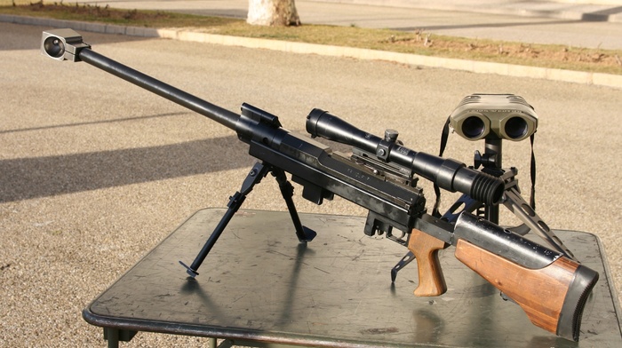 gun