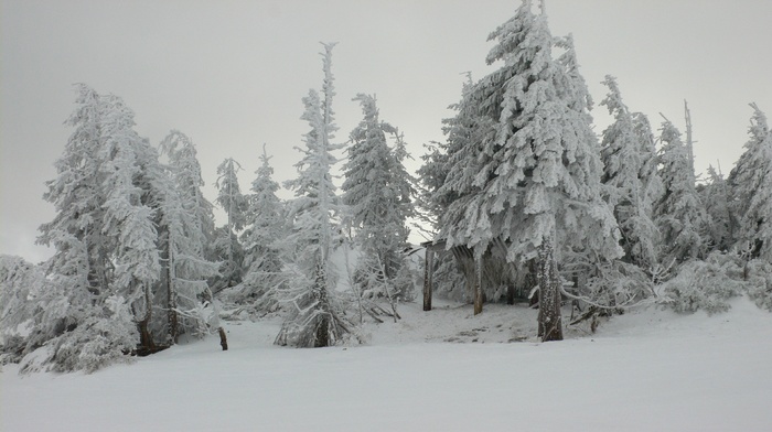 snow