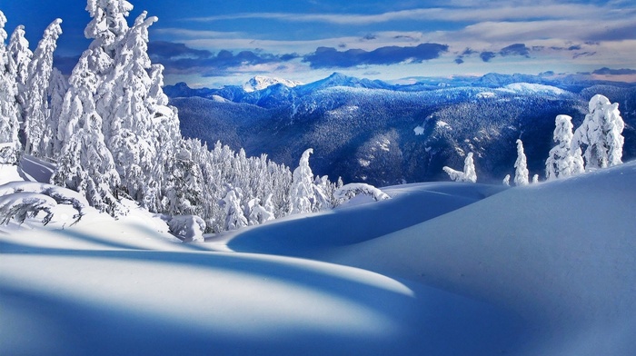 winter