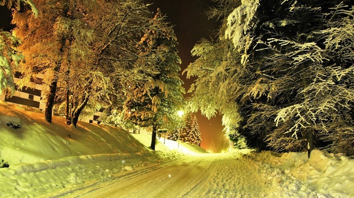 lights, trees, snow, road