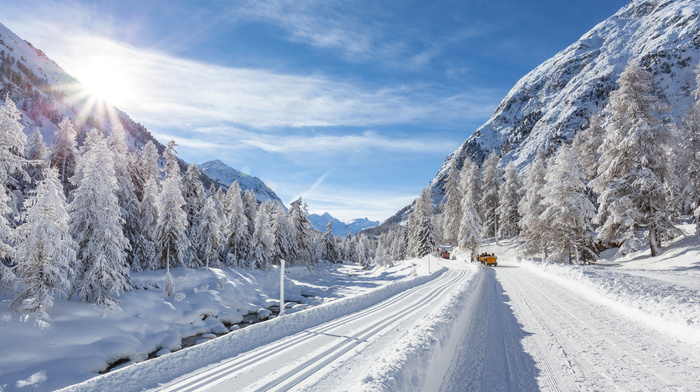 winter, Sun, snow, Christmas tree, road