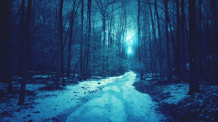 path, dirt road, nature, forest, trees, snow