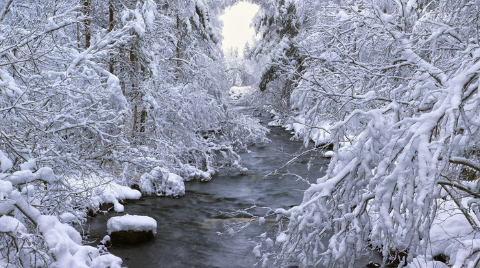 winter, trees, forest, river, snow, nature