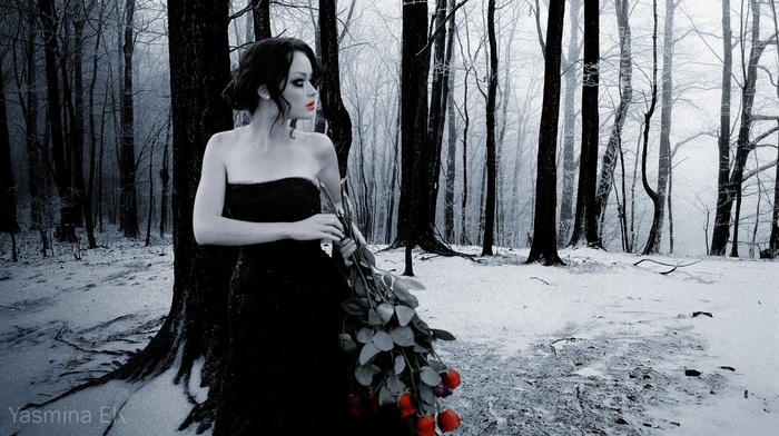 girl, Alexis Bledel, snow, winter, monochrome, rose, forest, photo manipulation, dress, Adobe Photoshop