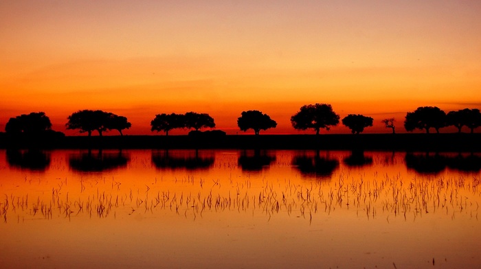 sunset, silhouette, trees, landscape, reflection