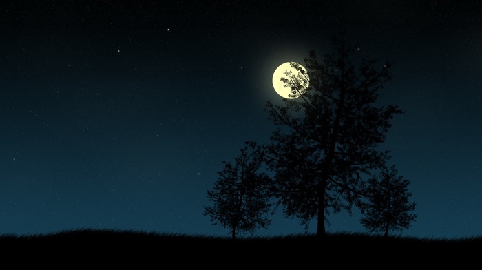 night, trees, moon