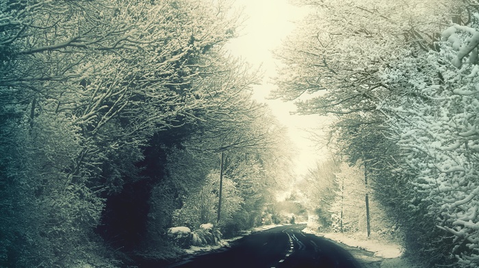 road, trees, snow