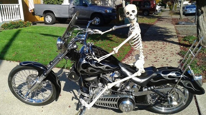 humor, motorcycles