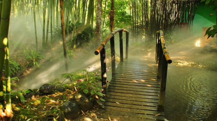 nature, landscape