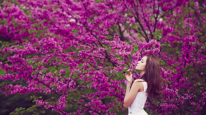girl, flowers, trees, brunette, nature, white dress, girl outdoors, purple flowers
