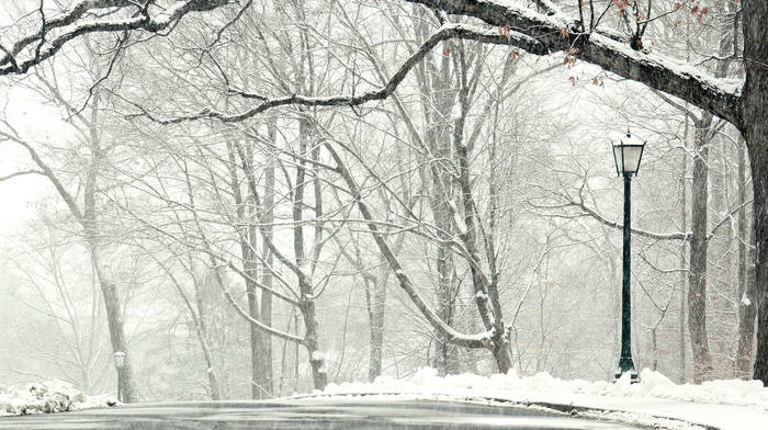 snow, park, winter