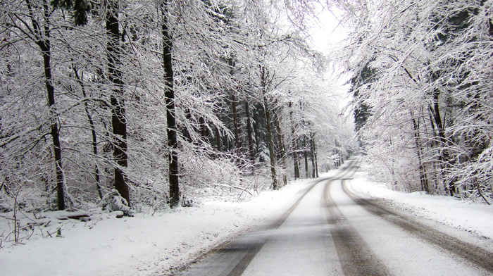 road, snow, winter