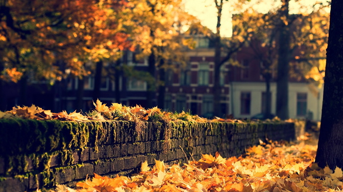 park, autumn