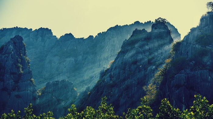 nature, landscape