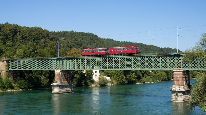 forest, bridge, train, mountain, river