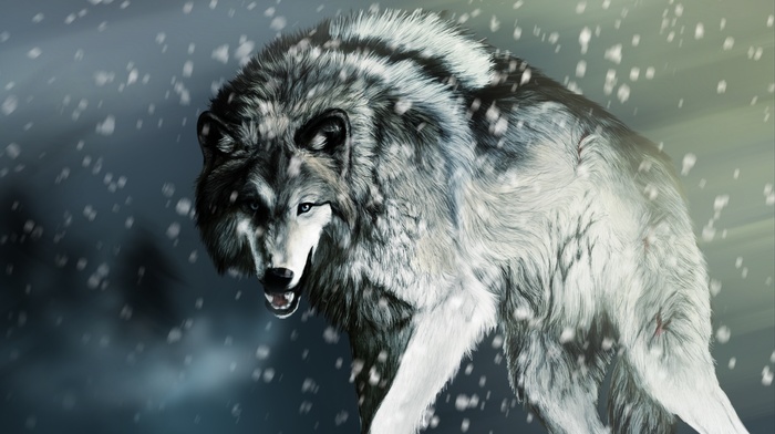 animals, wolf, snow